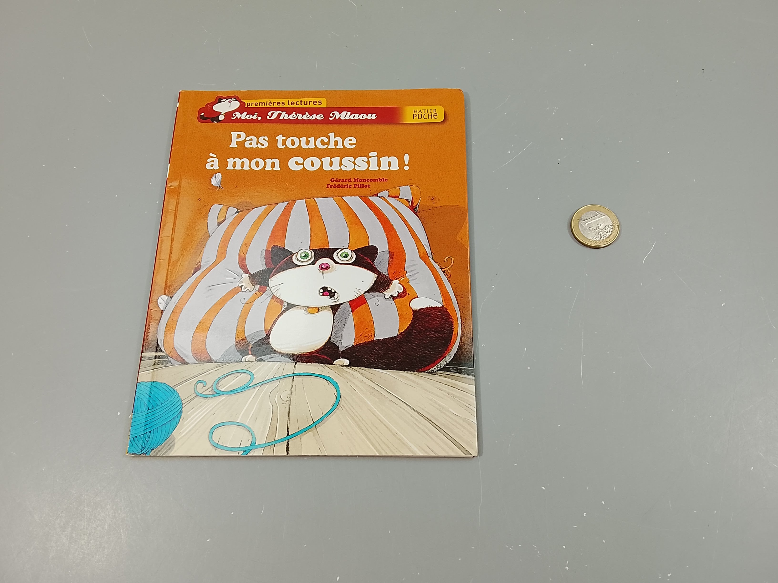 Pas touche à mon coussin. Premières lectures.
