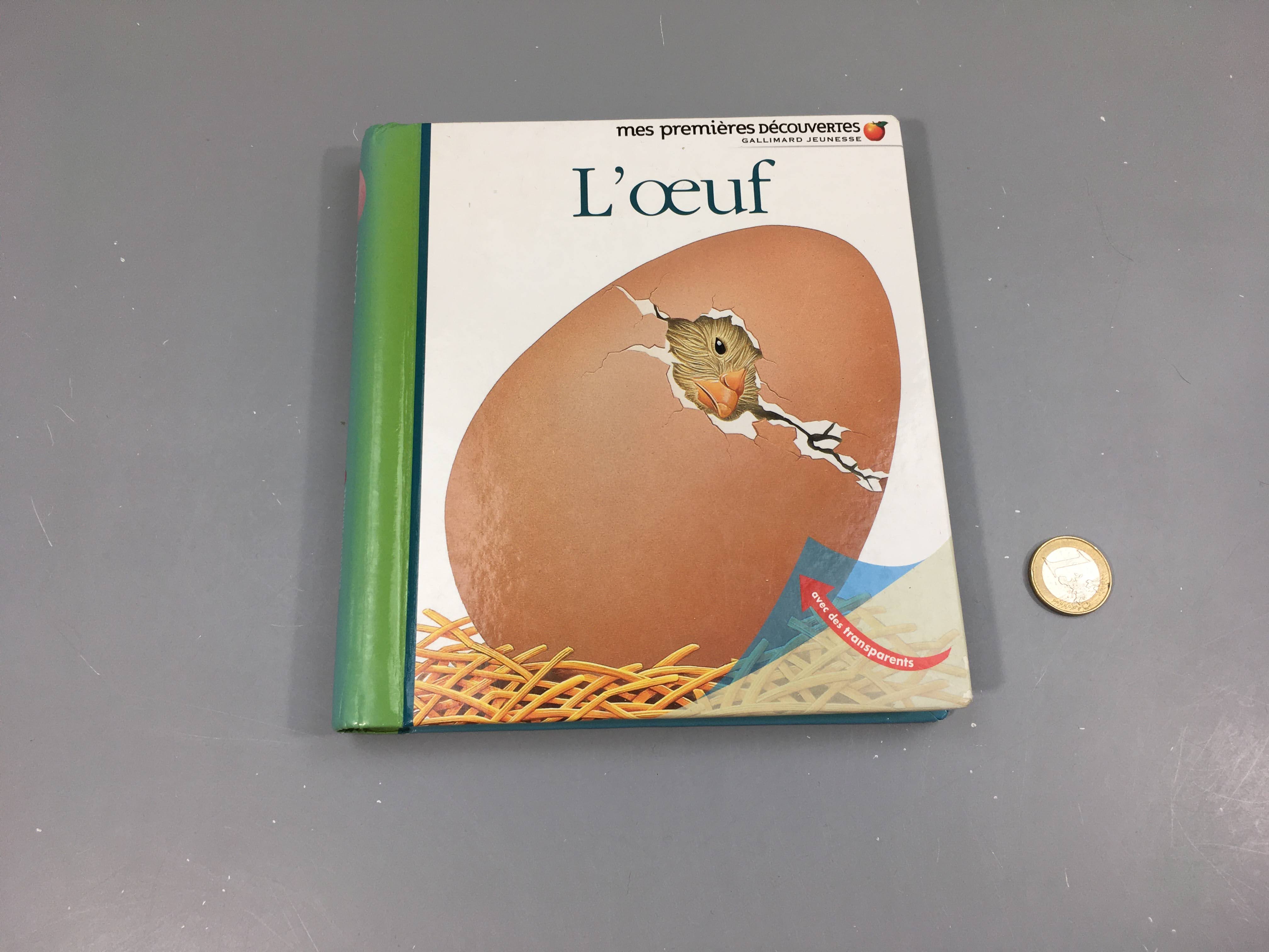 L'oeuf-Mes premières découvertes