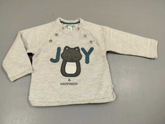 Sweat gris clair flammé , chat gris "joy",intérieur doux et chaud, moins cher chez Petit Kiwi