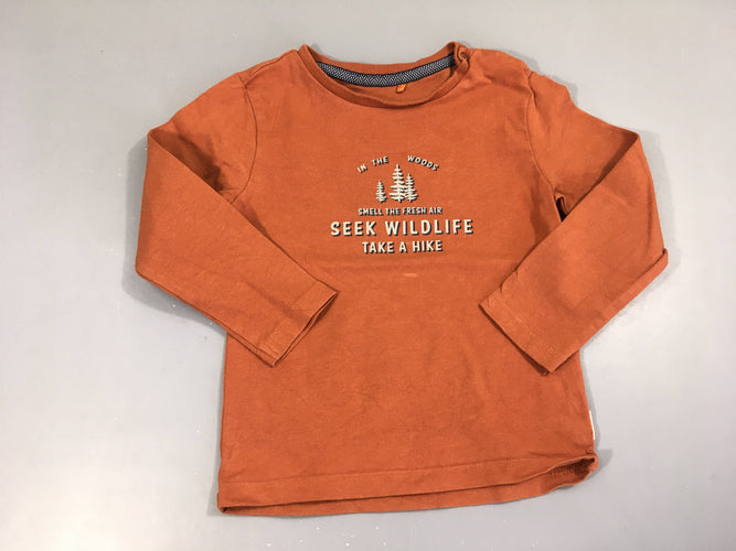 T-shirt m.l orange Wildlife, moins cher chez Petit Kiwi