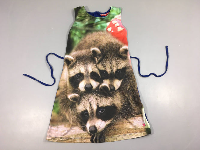 Robe s.m jersey ratons laveurs bleu au dos, moins cher chez Petit Kiwi