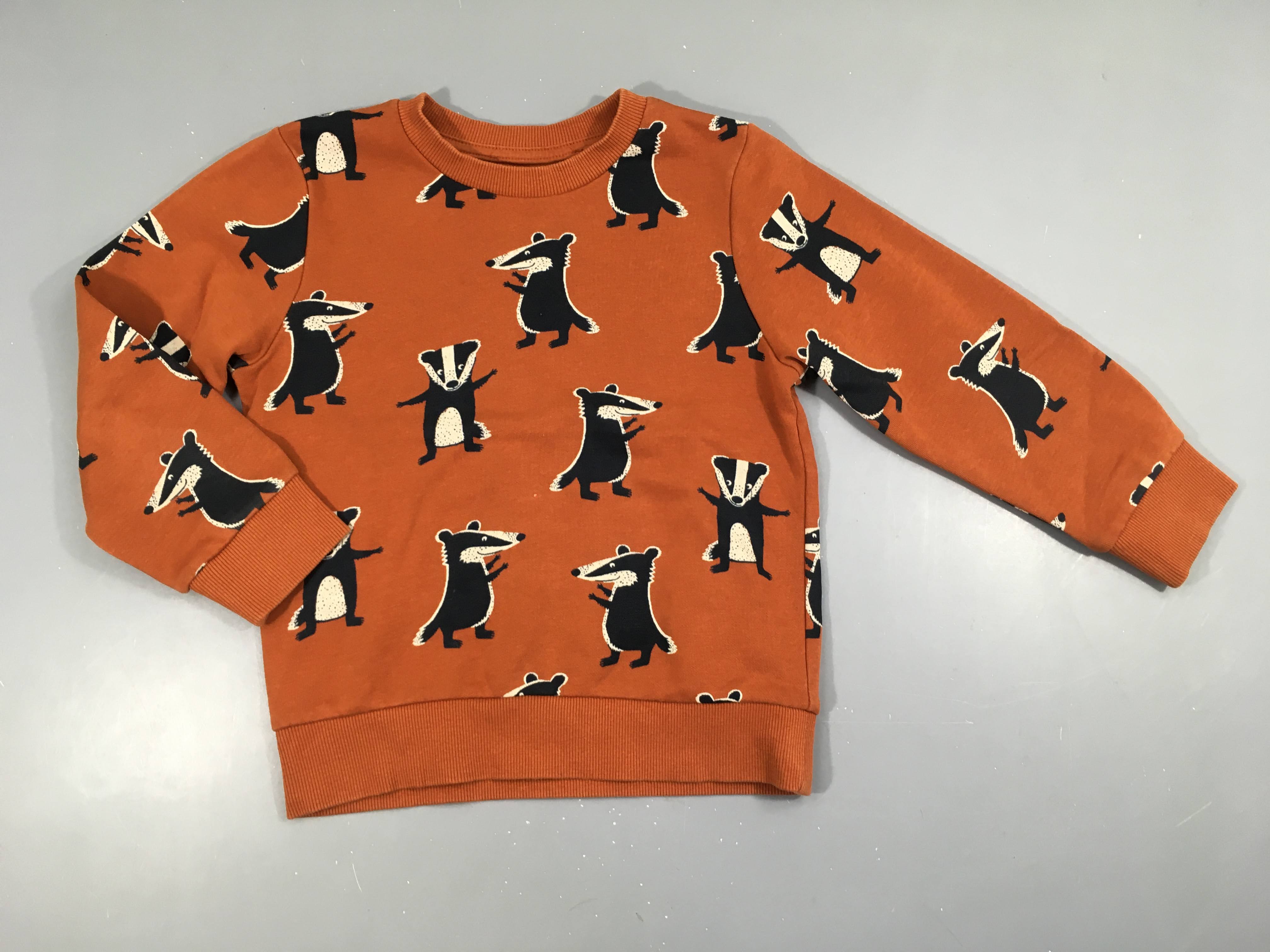 Sweat brun Raton laveur