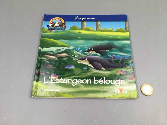 L'esturgeon bélouga, les animaux marins et polaires, Altaya, moins cher chez Petit Kiwi
