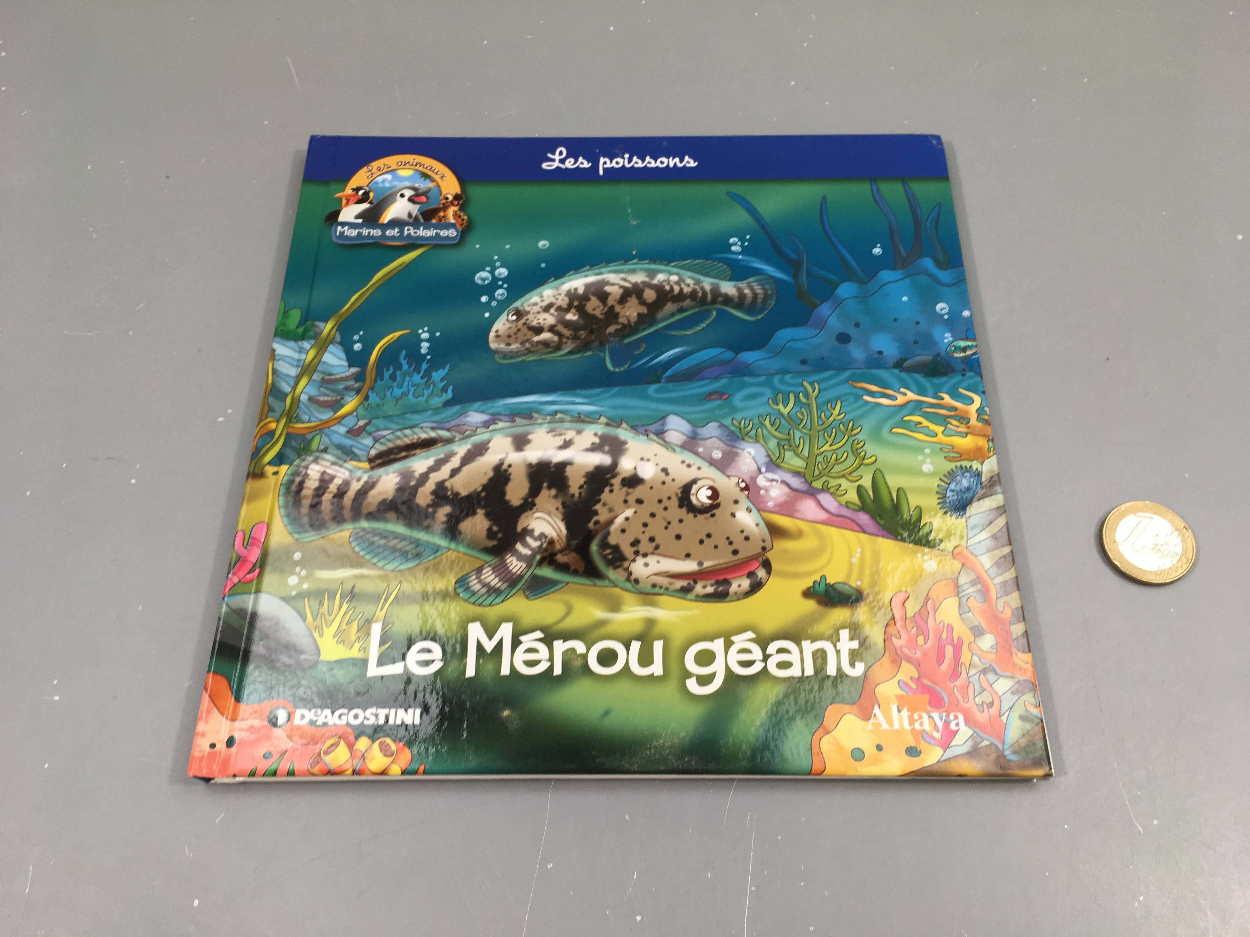 Le mérou géant, les animaux marins et polaires, Altaya