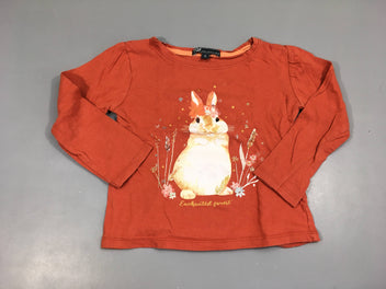 T-shirt m.l orange lapin tulle