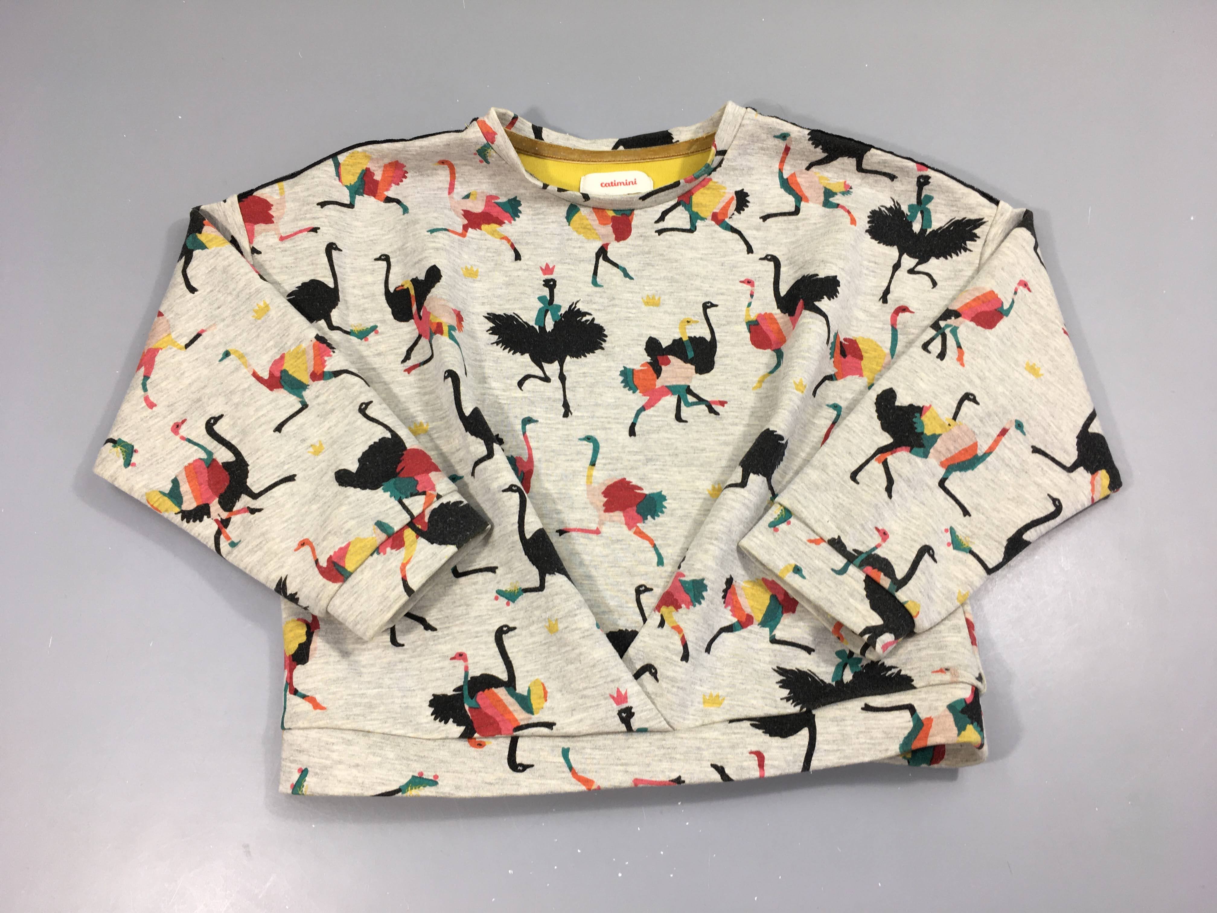 Sweat gris chiné autruches, légèrement décoloré