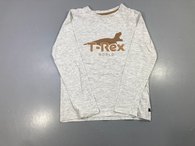 T-shirt m.l gris clair flammé T-rex, moins cher chez Petit Kiwi