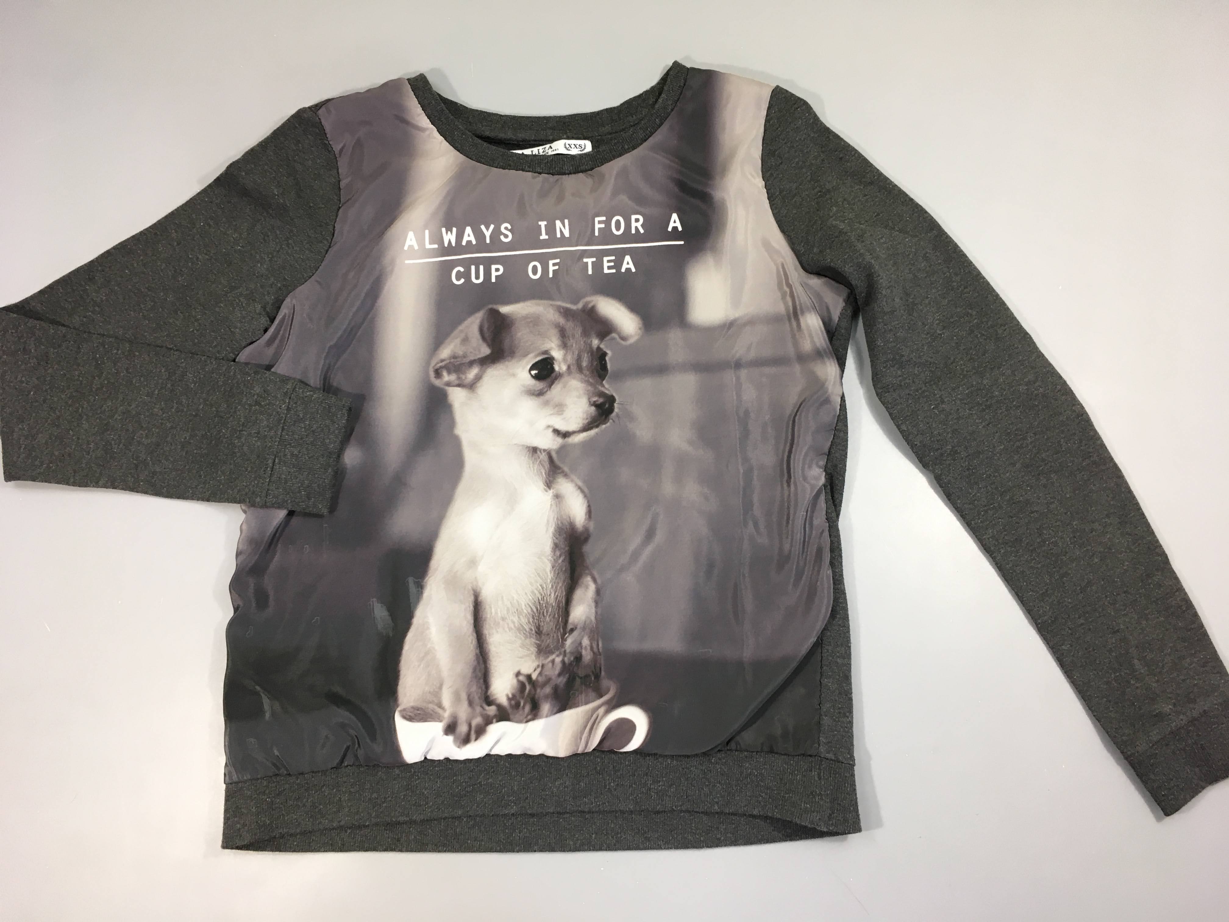 Sweat gris foncé chihuahua, légèrement bouloché