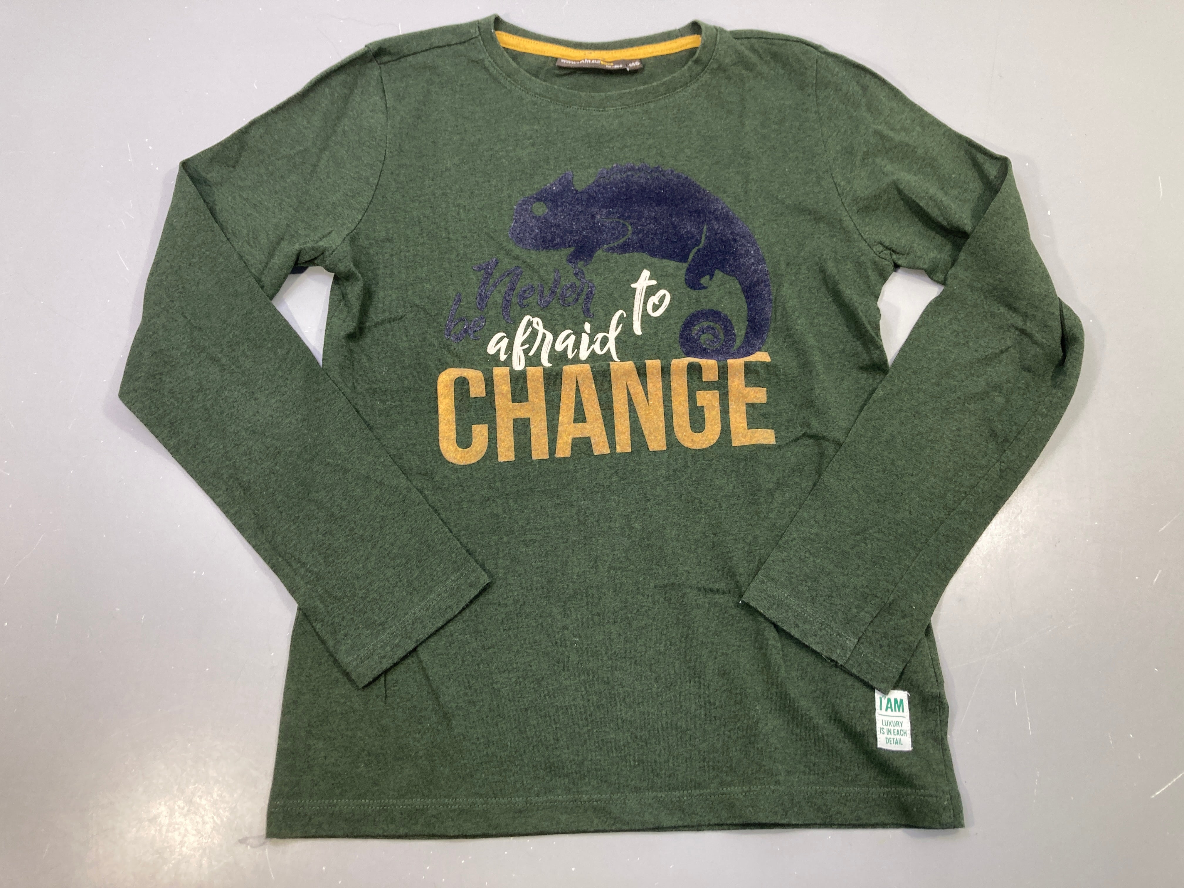 T-shirt m.l vert chiné, caméléon floqué Never be afraid to change, I AM