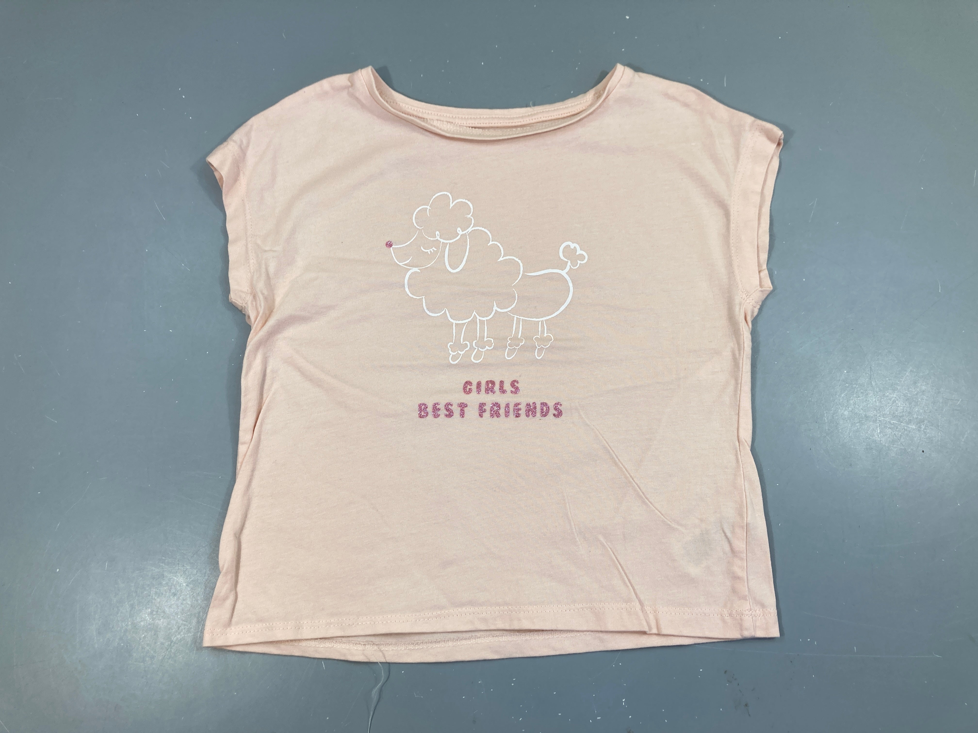 T-shirt m.c rose chien
