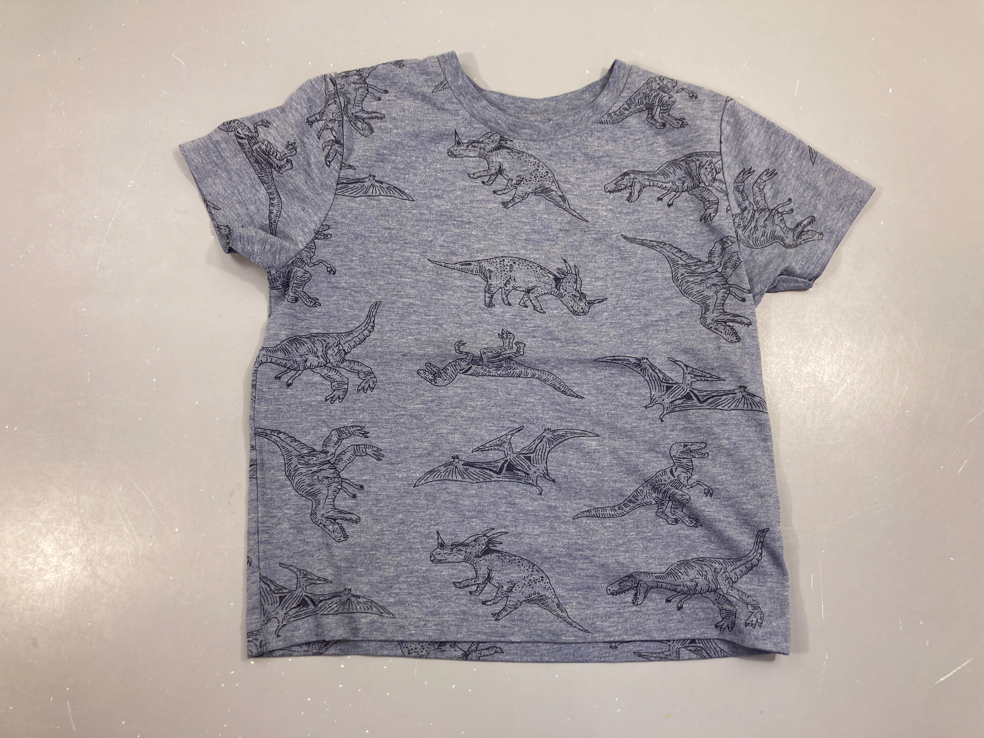 T-shirt m.c bleu chiné dinos, légèrement bouloché