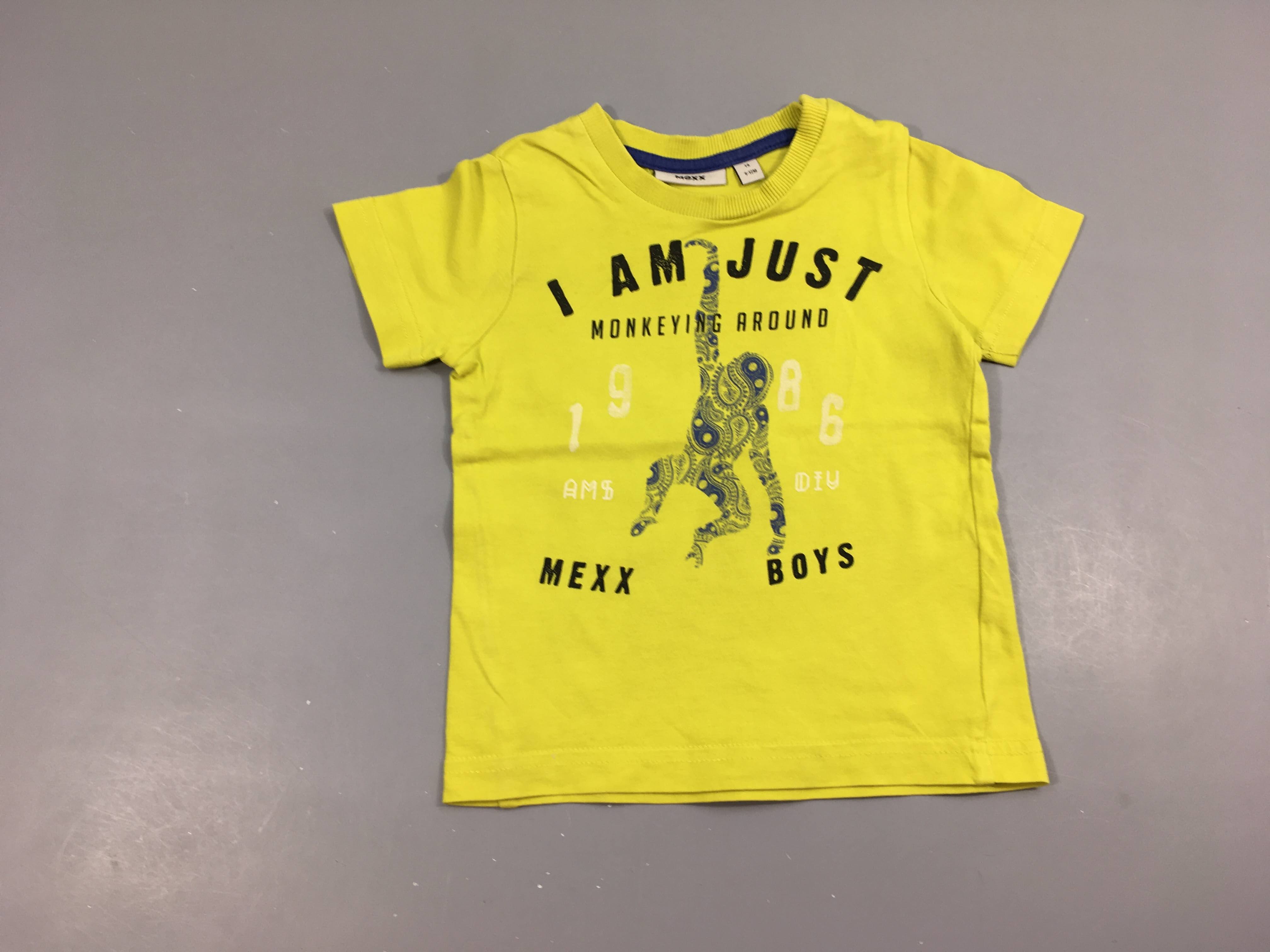 T-shirt m.c anis singe