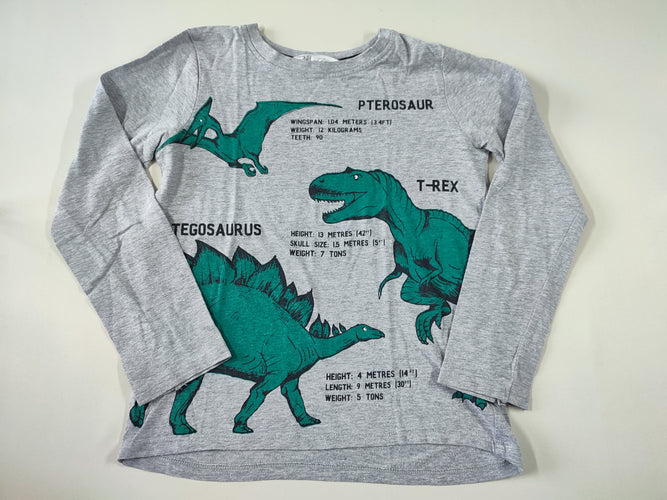 T-shirt m.l gris "Pterosaur, T-rex, Stegosaurus", moins cher chez Petit Kiwi