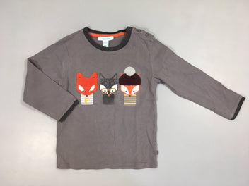 T-shirt m.l gris renards relief