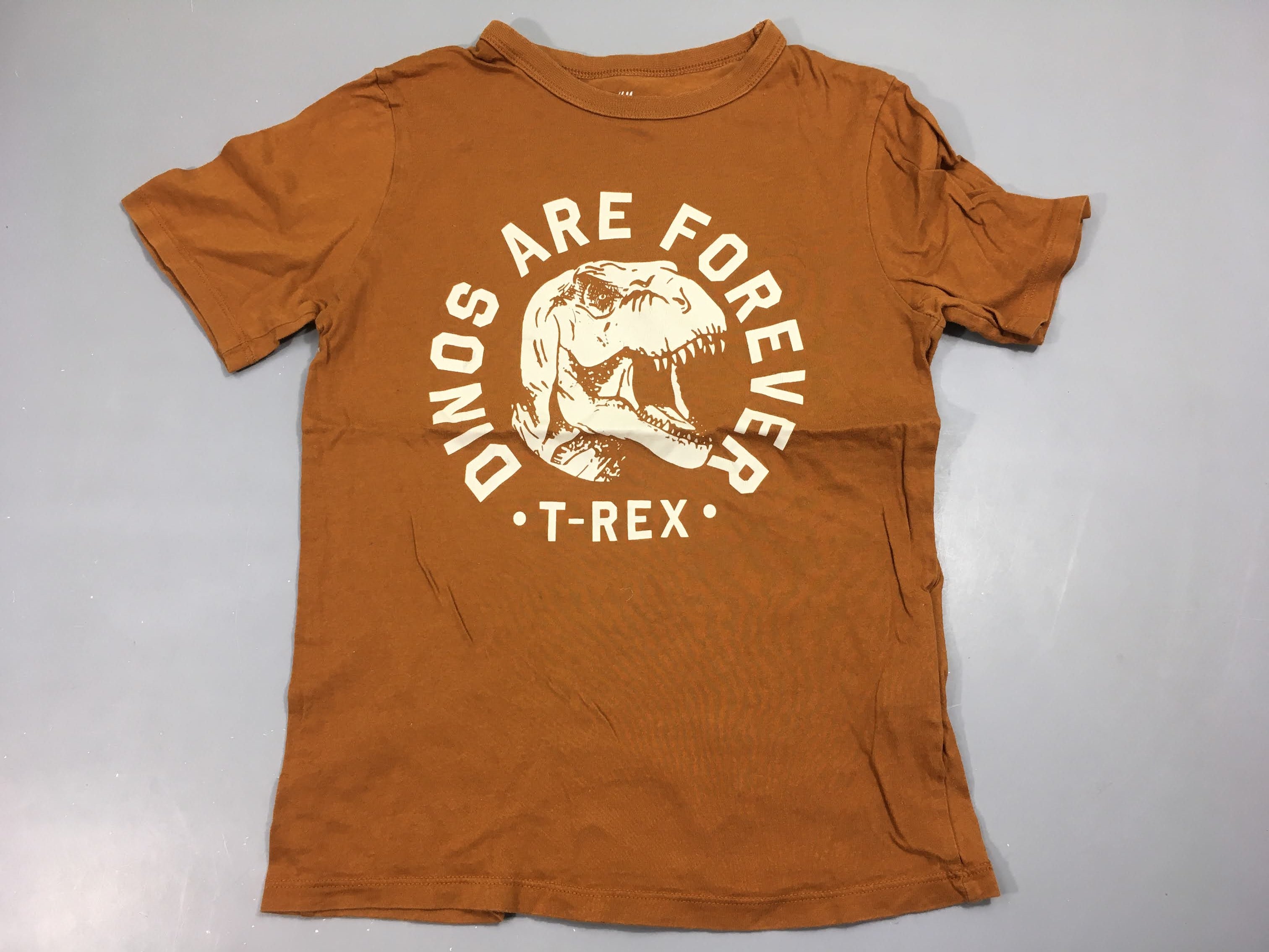 T-shirt m.c camel, dinosaure