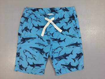 Bemuda bleu requins
