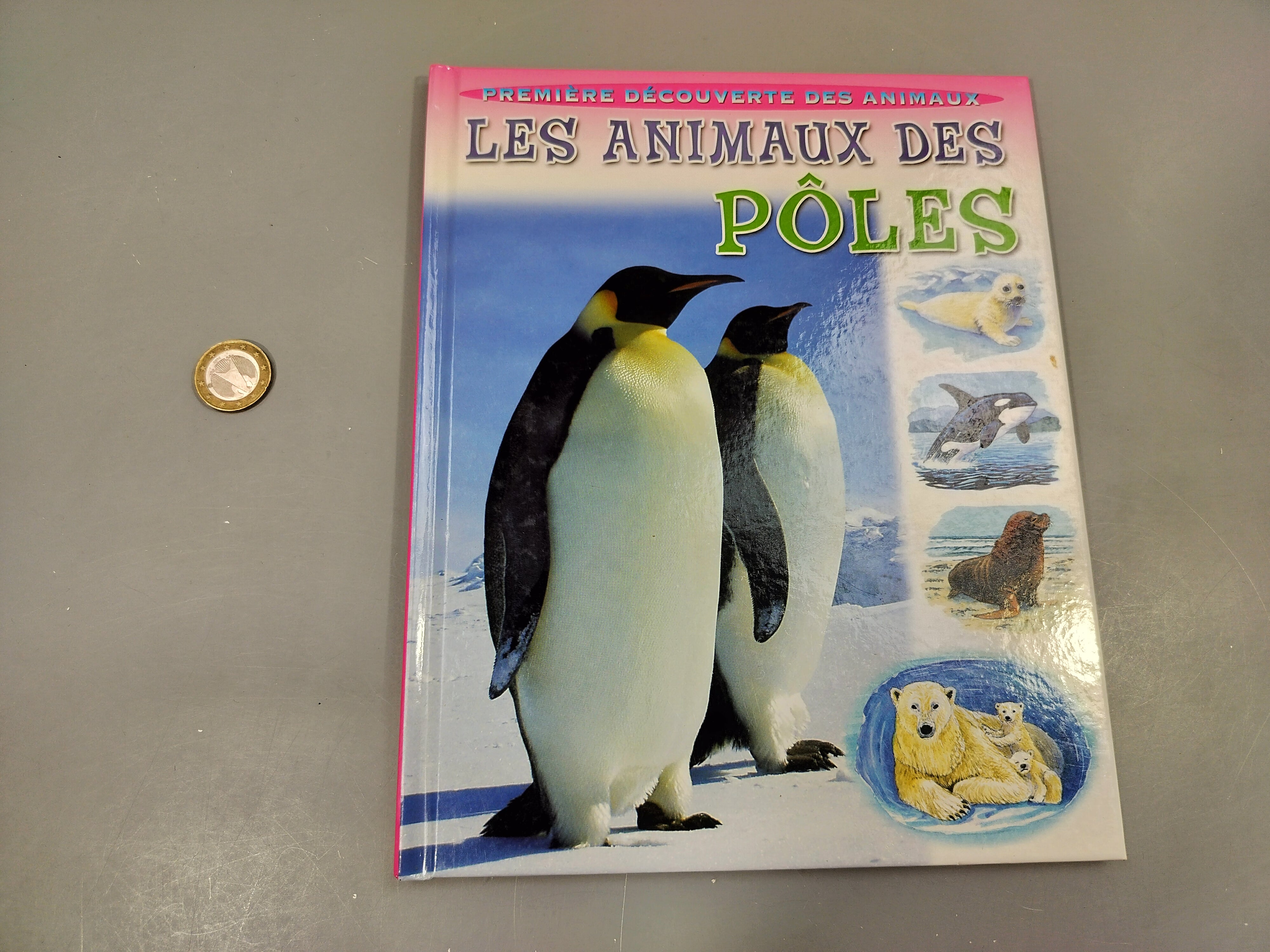 Première découverte des animaux. les animaux des pôles