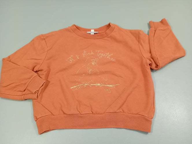 Sweat rose saumon, oiseaux fils dorés pailleté. très légèrement bouloché, moins cher chez Petit Kiwi