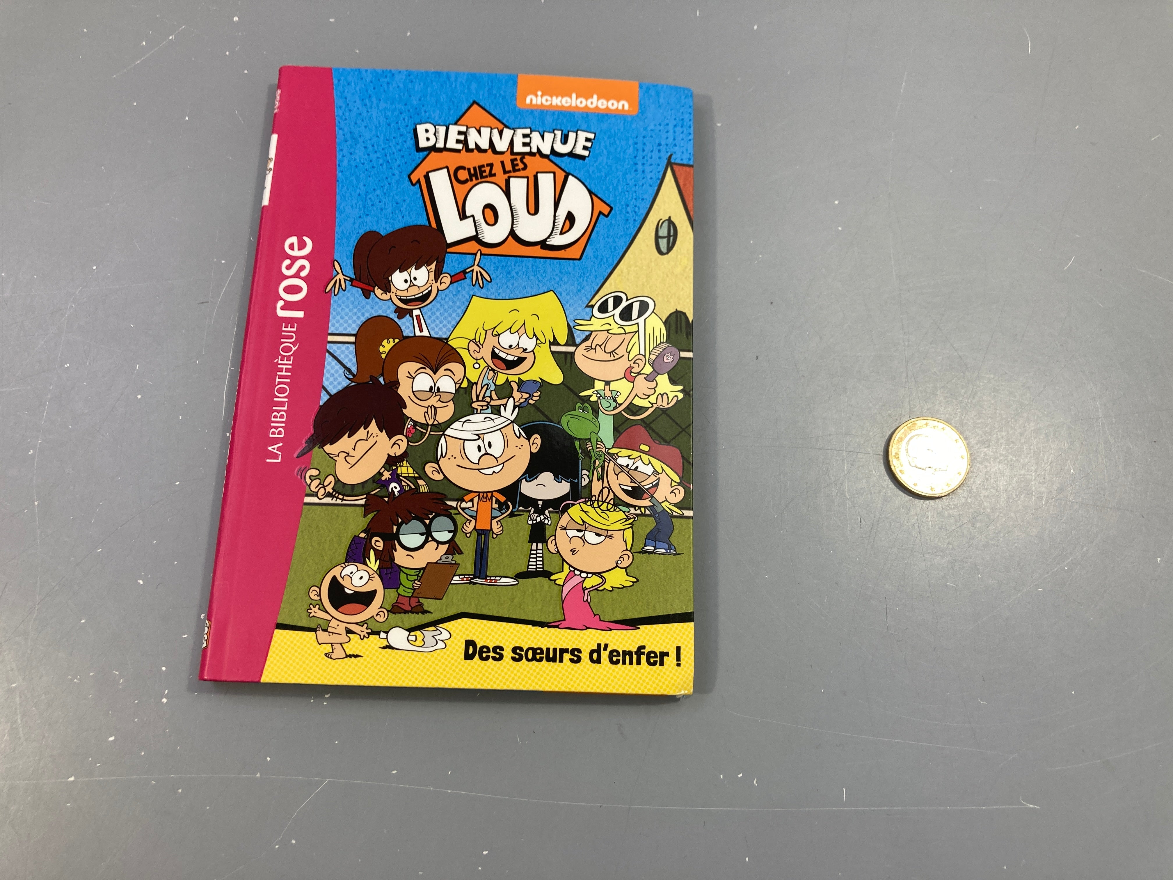Bienvenue chez les Loud-Des soeurs d'enfer!-Bibiothèque rose