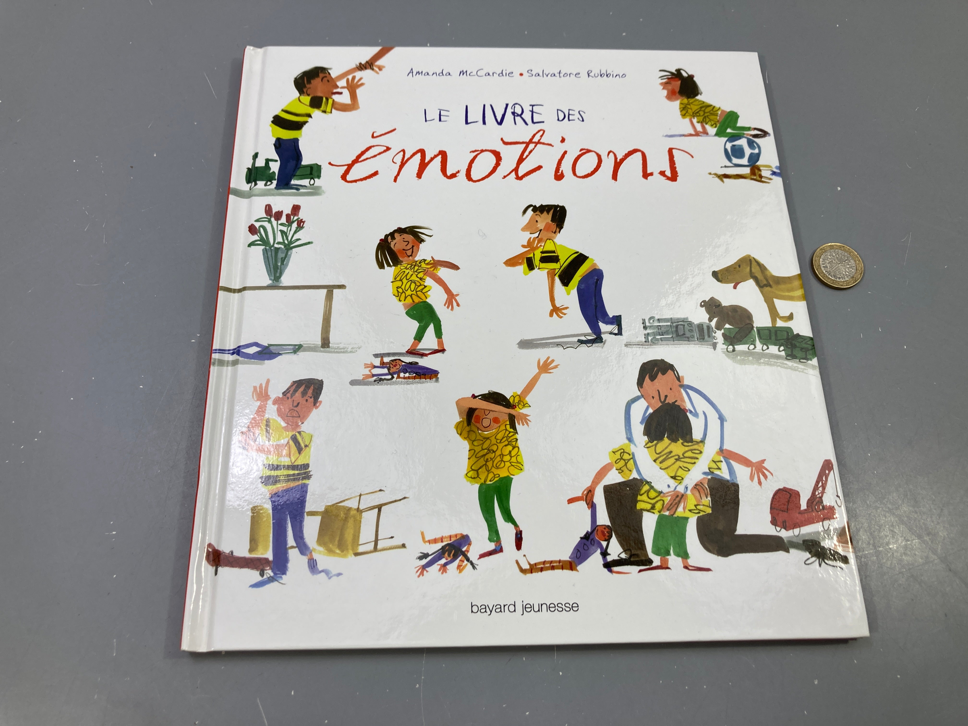Le livre des émotions, Amanda McCardie, Salvatore Rubbino, Bayard Jeunesse
