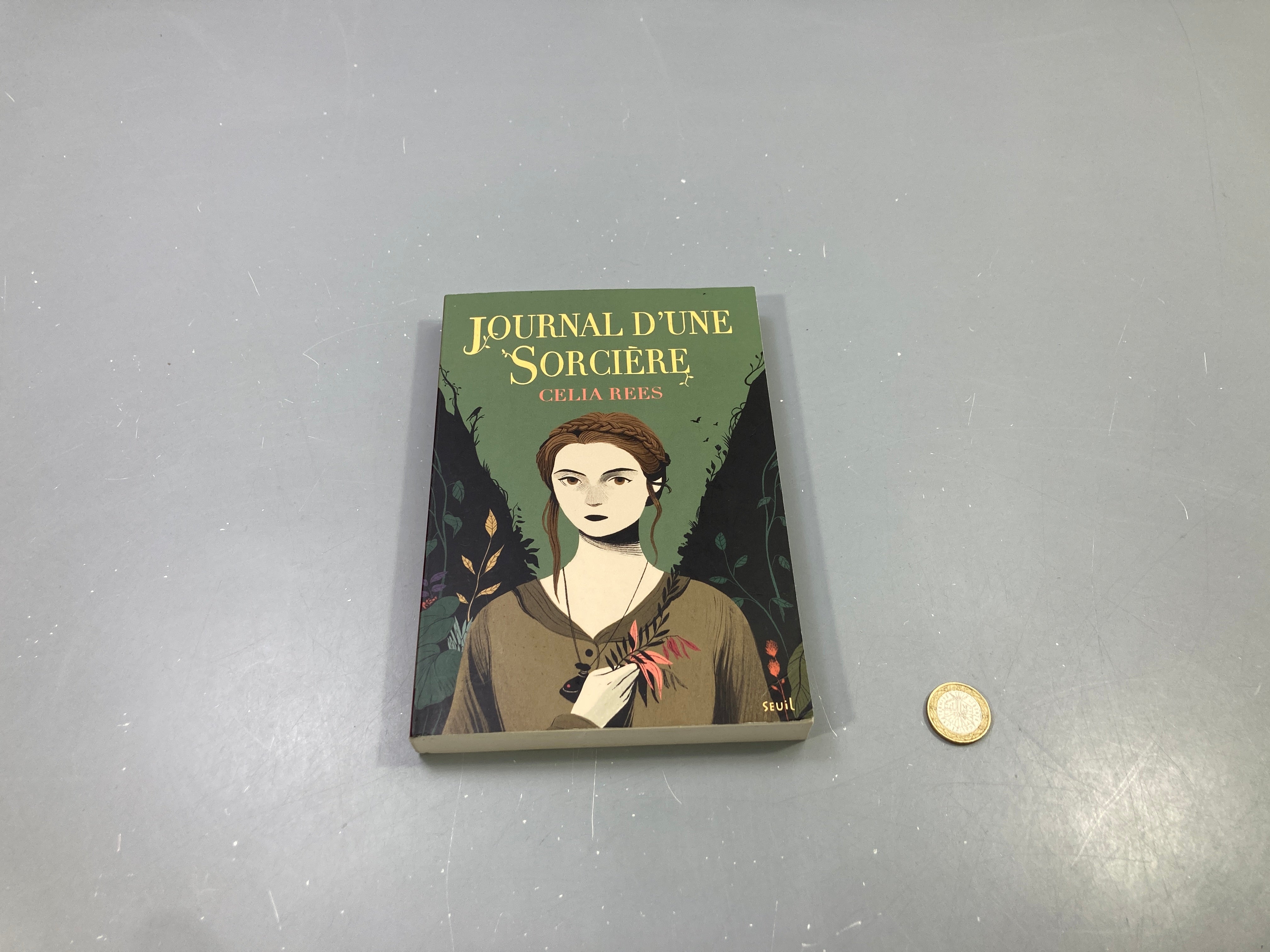 Roman Journal d'une sorcière, Celia Rees, Seuil