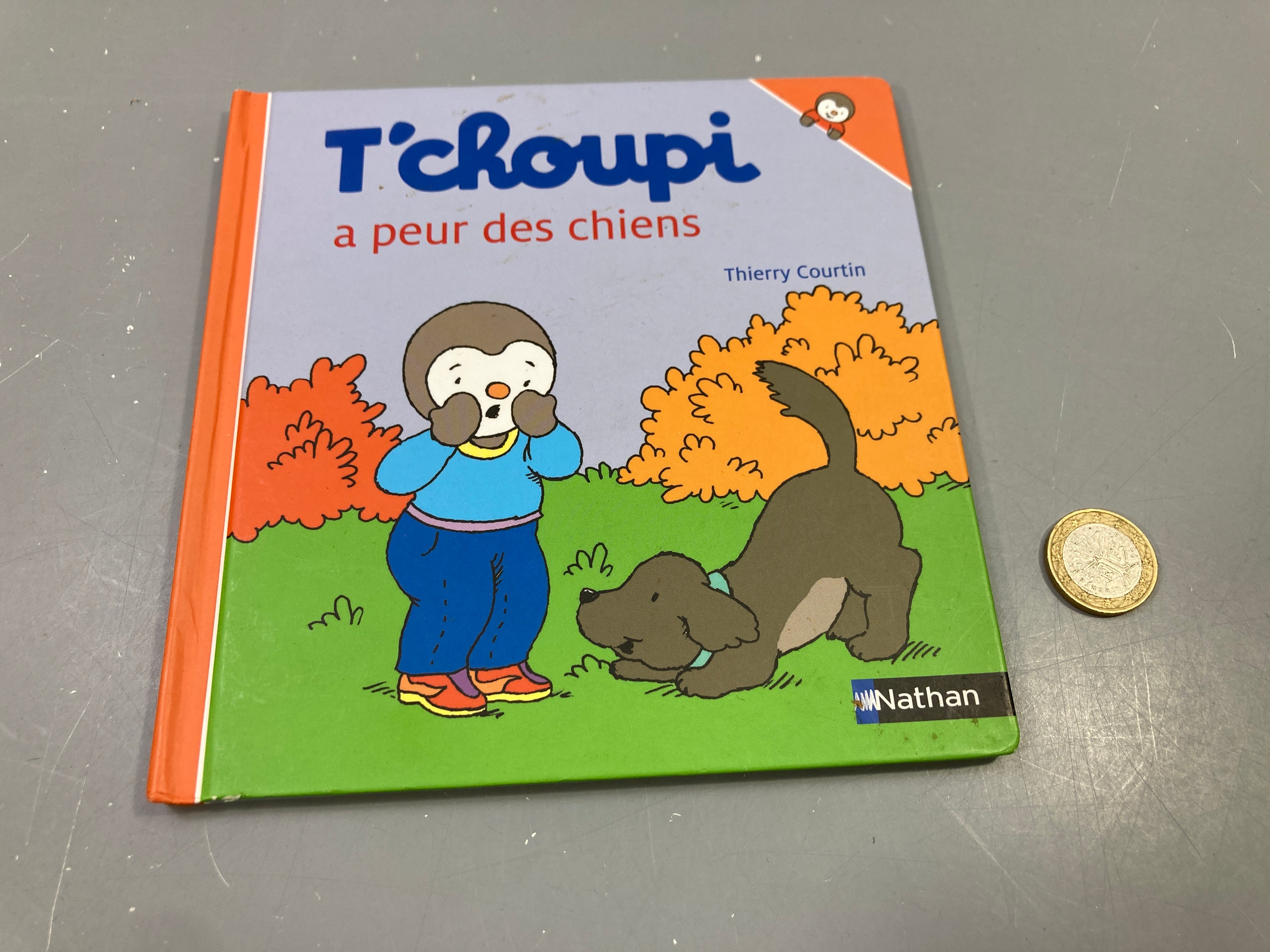 T'choupi a peur des chiens, Thierrayé Courtin
