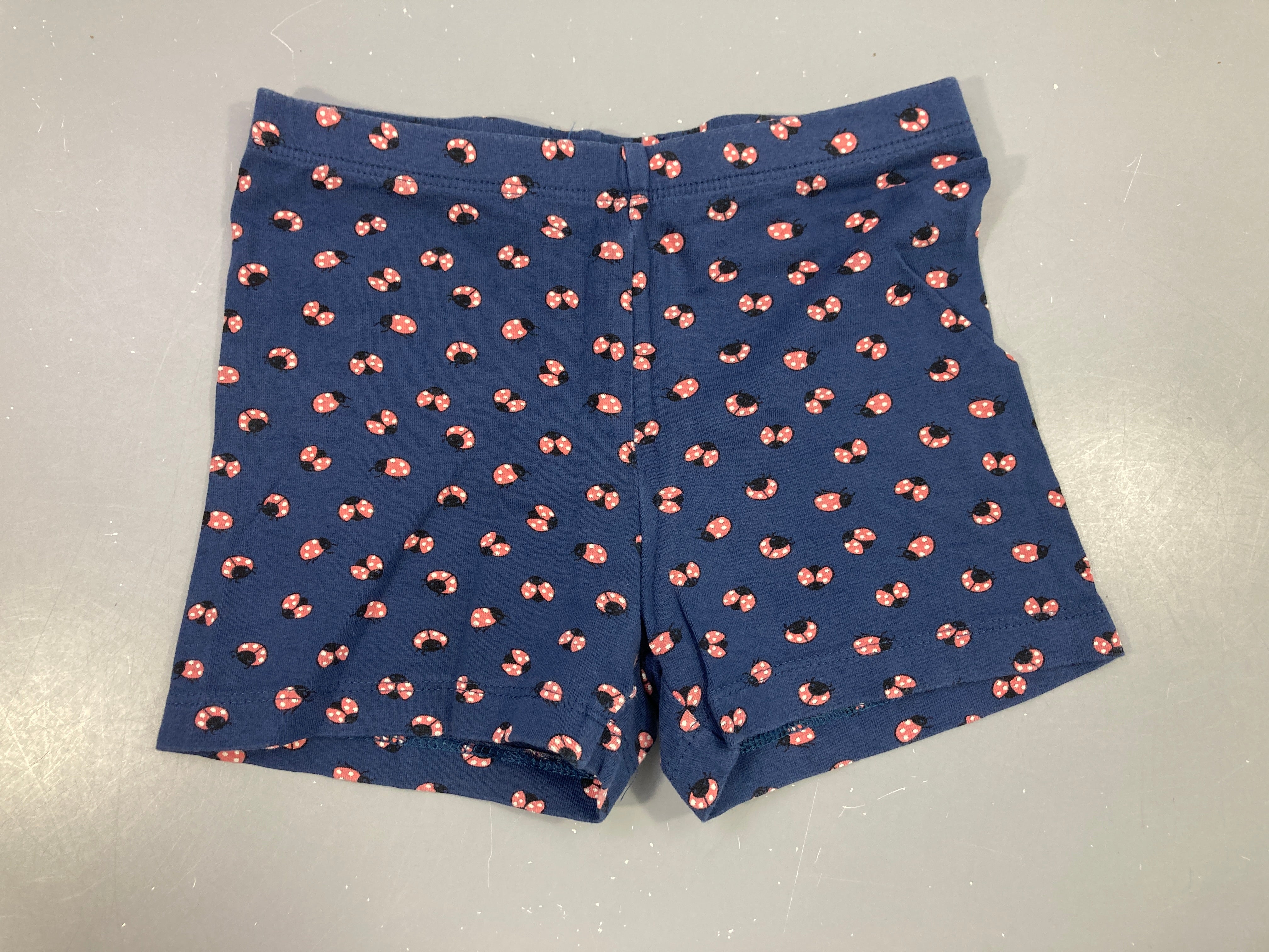 Short jersey bleu coccinelles