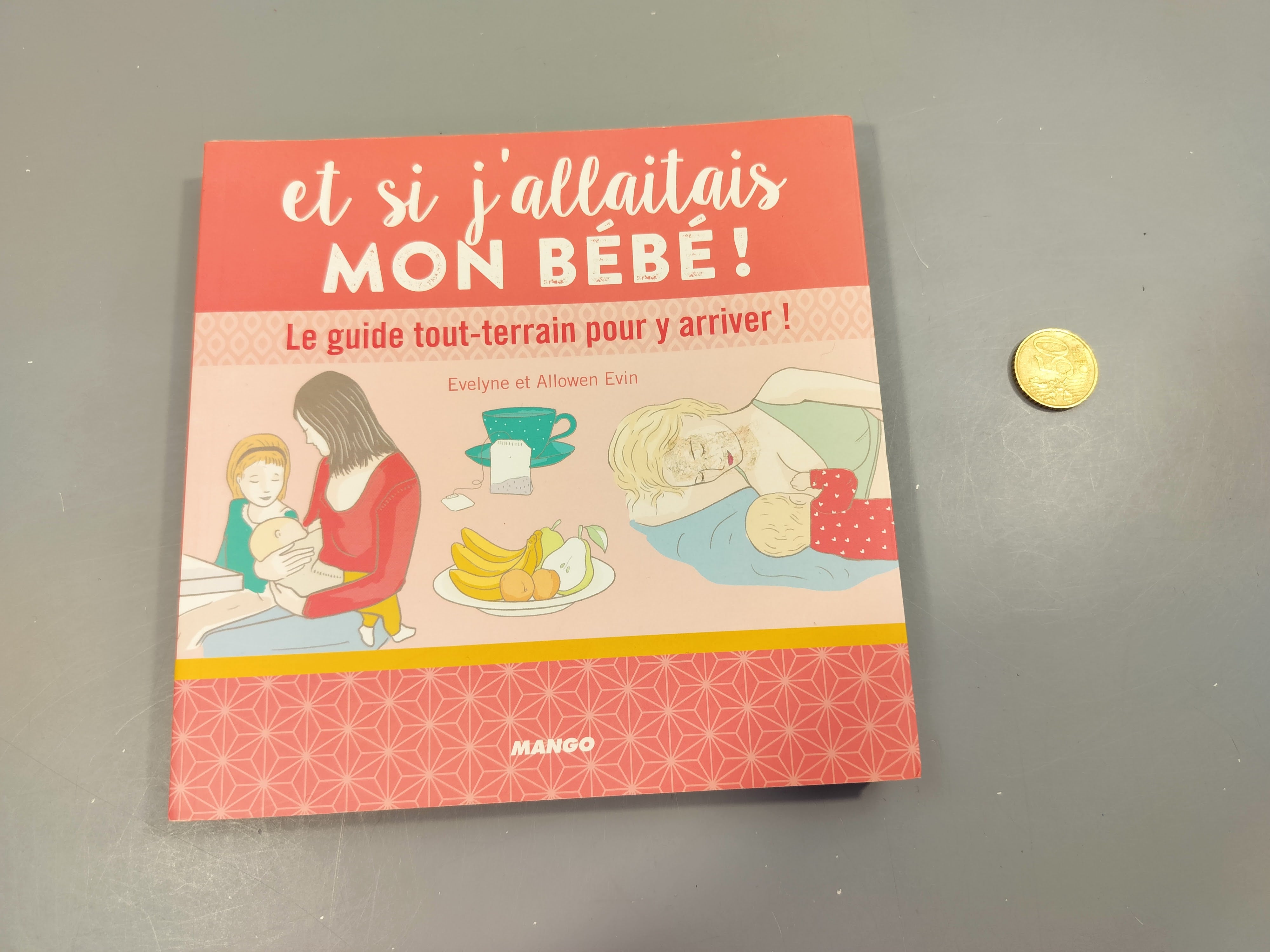 Et si j'allaitais mon bébé! Le guide tout- terrain pour y arriver!