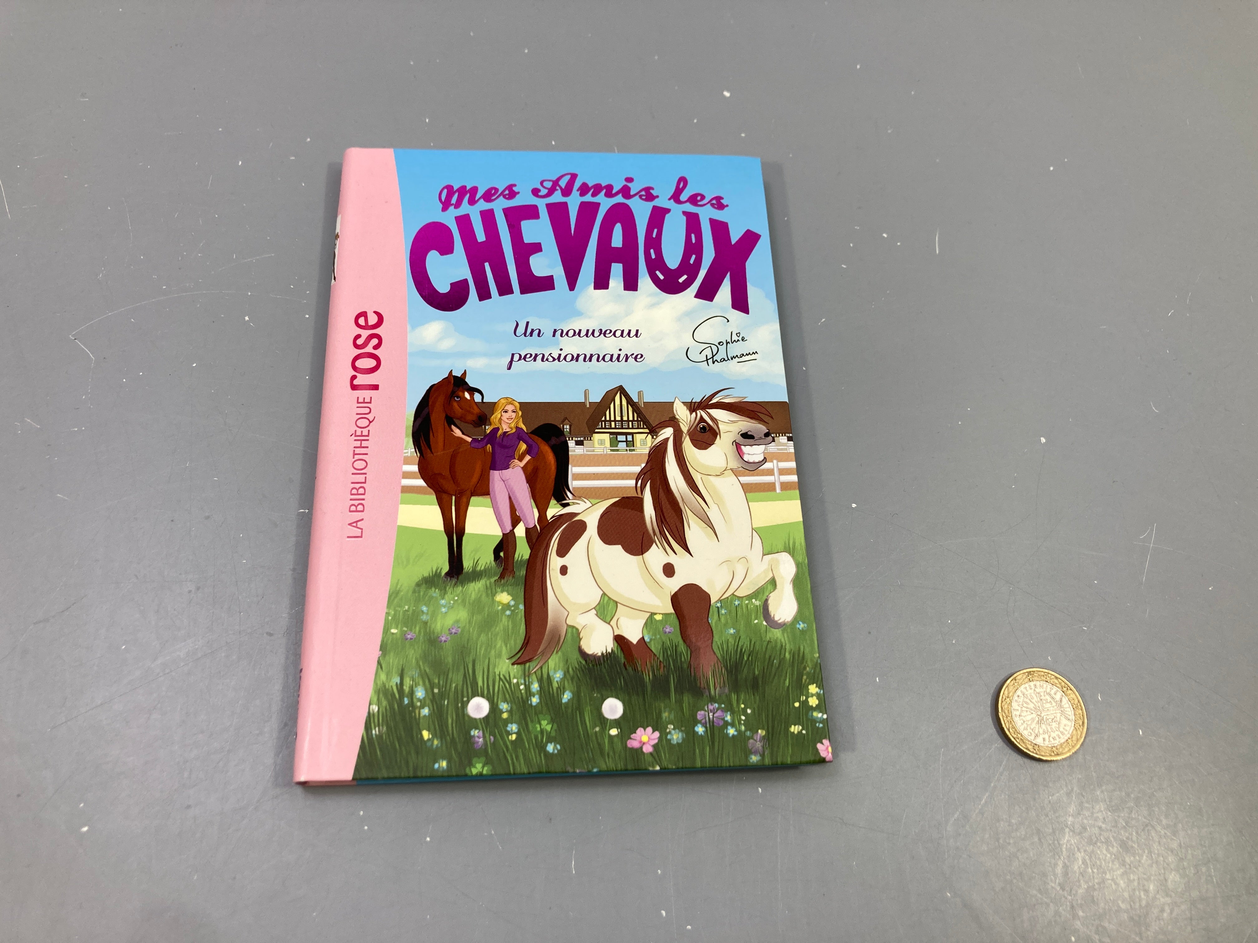 Livre Mes amis les chevaux, Un nouveau pensionnaire, Sophie Thalmann, Bibliothèque rose