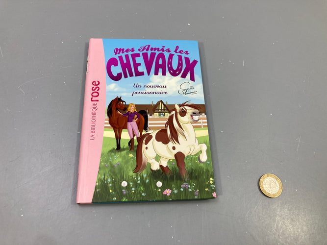 Livre Mes amis les chevaux, Un nouveau pensionnaire, Sophie Thalmann, Bibliothèque rose, moins cher chez Petit Kiwi