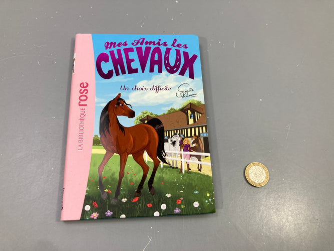 Livre Mes amis les chevaux, Un choix difficile, Sophie Thalmann, Bibliothèque rose, moins cher chez Petit Kiwi