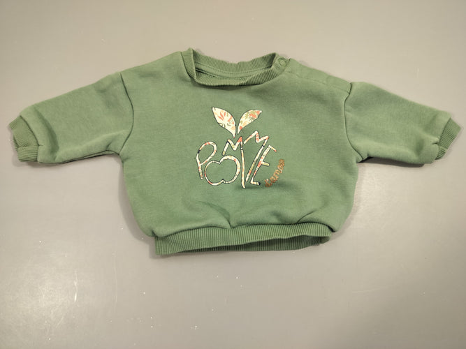 Sweat vert  "pomme", intérieur doux et chaud 70% coton  30% polyester, moins cher chez Petit Kiwi