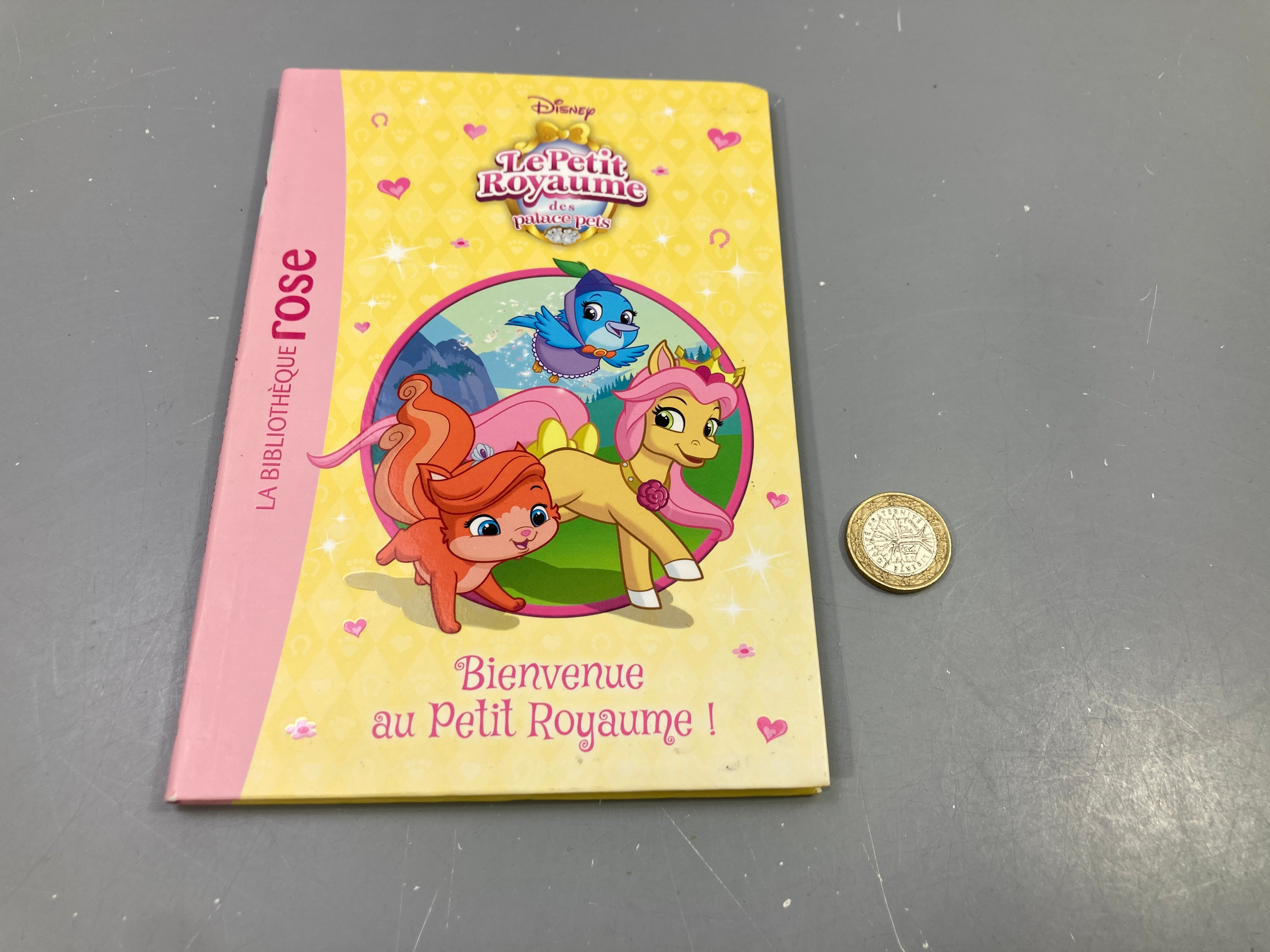 Livre Le Petit Royaume des Palace Pets, Bienvenue au Petit Royaume !, Bibliothèque rose