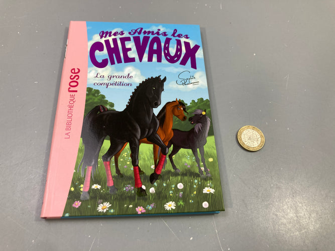 Livre Mes amis les chevaux, La grande compétition, Sophie Thalmann, Bibliothèque rose, moins cher chez Petit Kiwi