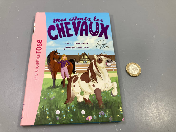 Livre Mes amis les chevaux, Un nouveau pensionnaire, Sophie Thalmann, Bibliothèque rose, moins cher chez Petit Kiwi