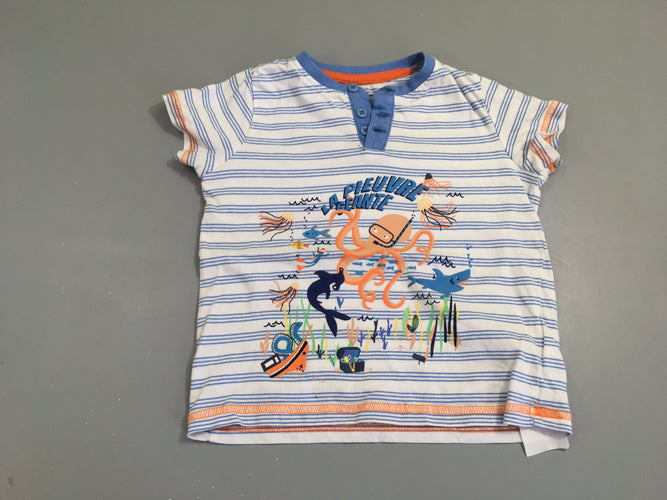 T-shirt m.c blanc rayé bleu la pieuvre géante boutons, moins cher chez Petit Kiwi