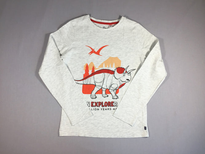 T-shirt m.l gris flammé dino orange, moins cher chez Petit Kiwi