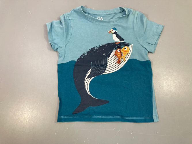 T-shirt m.c bleu baleine, moins cher chez Petit Kiwi