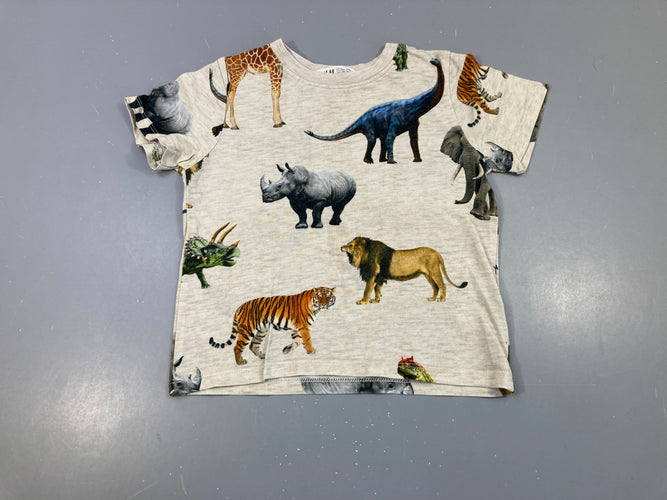 T-shirt m.c beige flammé animaux, moins cher chez Petit Kiwi