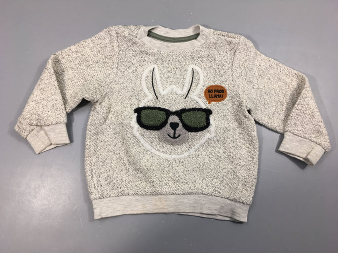 Pull gris Lama lunettes, moins cher chez Petit Kiwi