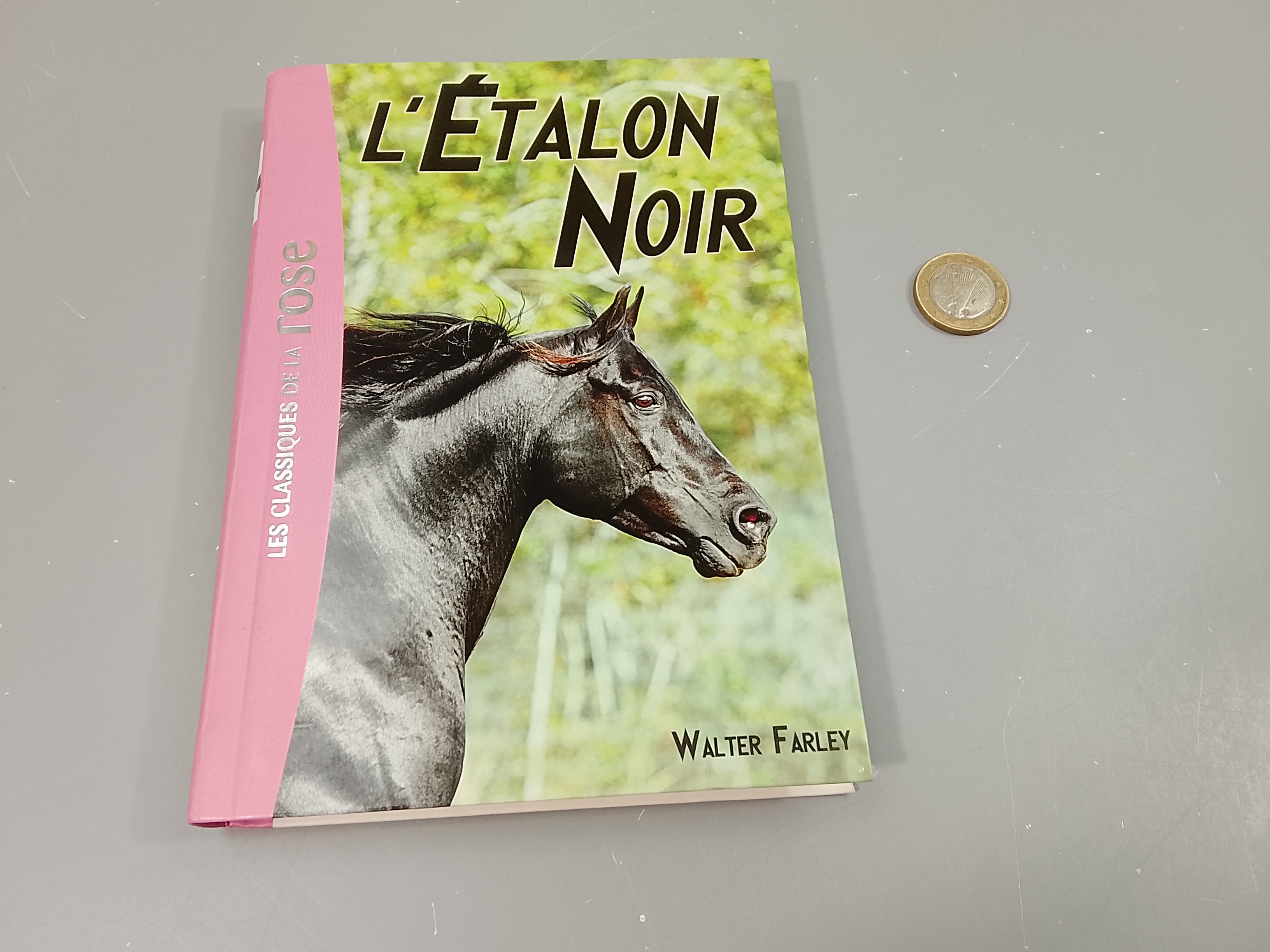 1 La bibliothèque. L'étalon noir.