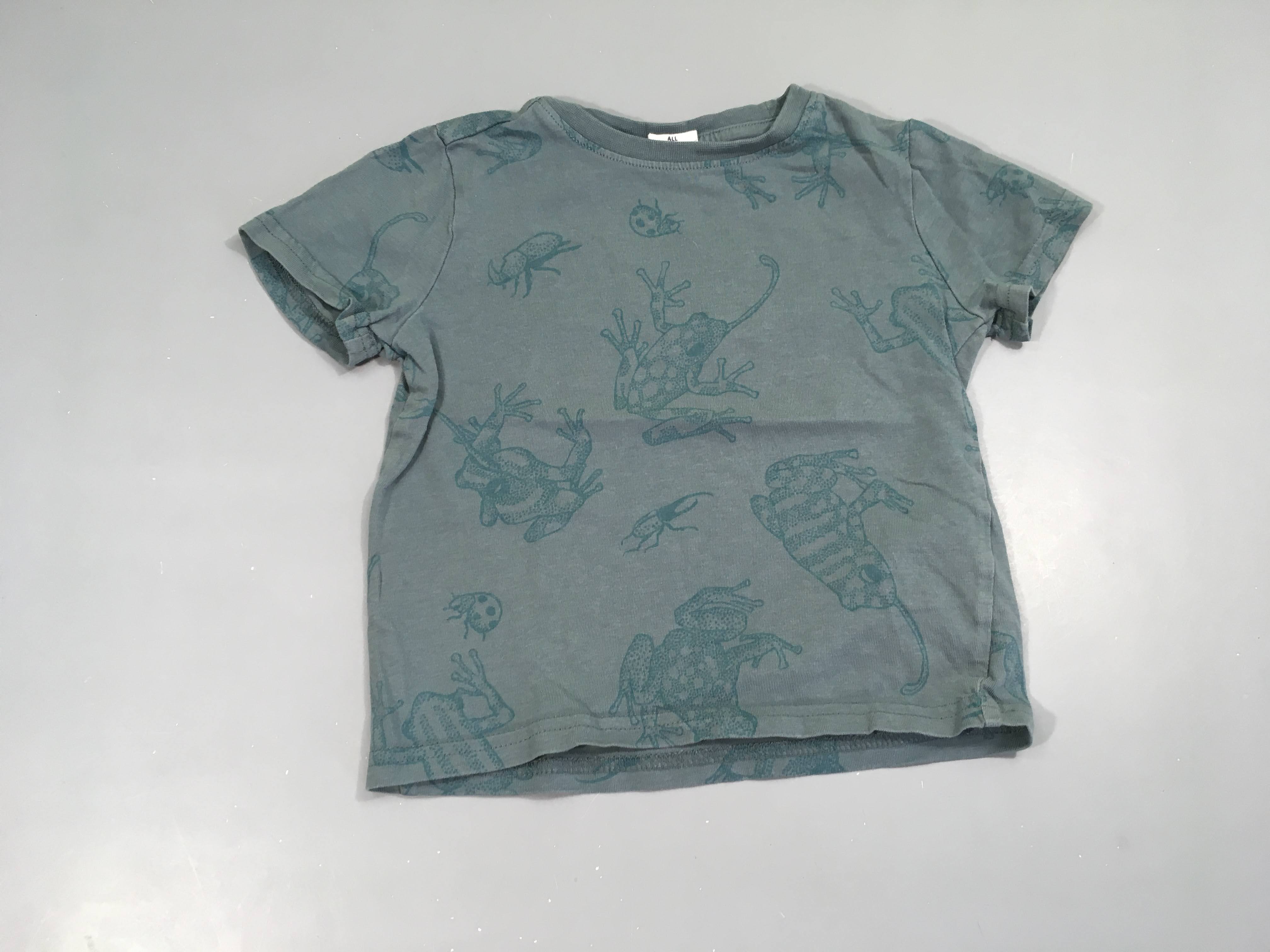 T-shirt m.c kaki grisé grenouille