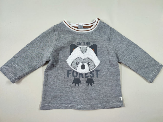 T-shirt m.l gris flammé raton laveur "In the forest", moins cher chez Petit Kiwi