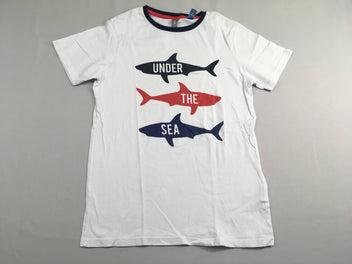 T-shirt m.c blanc requins