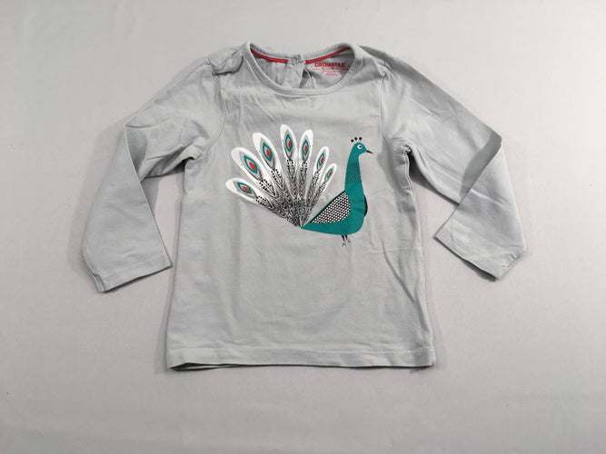 T-shirt m.l gris paon vert irisé, moins cher chez Petit Kiwi
