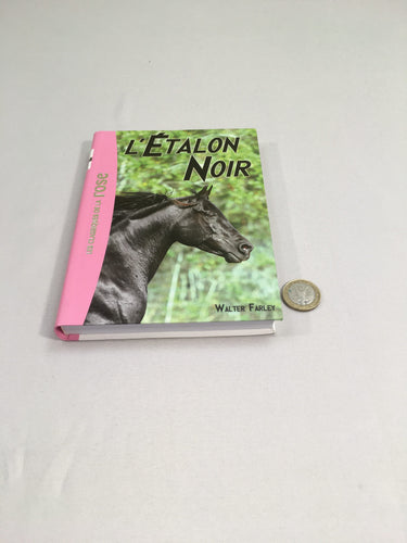 L'étalon noir, 1 Bibliothèque rose, moins cher chez Petit Kiwi