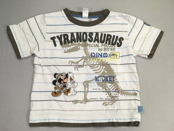 T-shirt m.c blanc rayé bleu Tyranosaurus