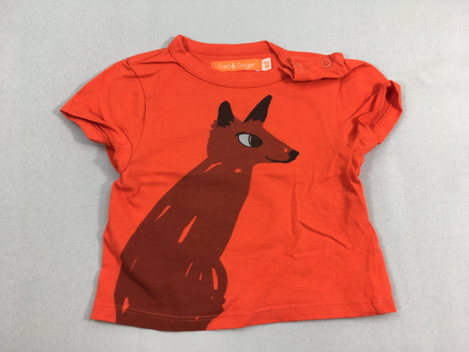 T-shirt m.c orange renard, moins cher chez Petit Kiwi