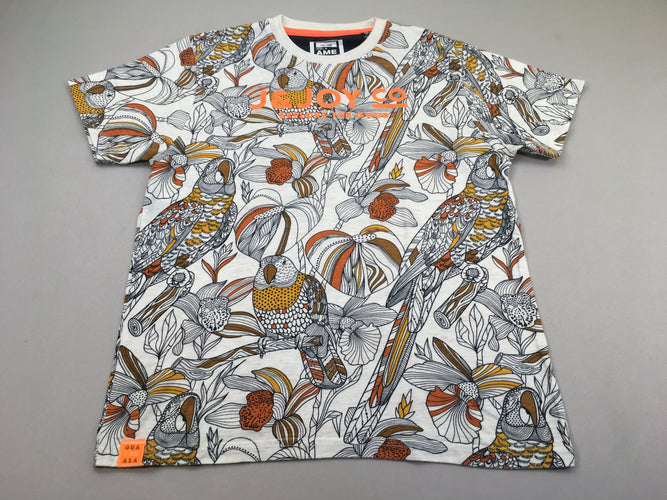 T-shirt m.c blanc Explore Oiseau, moins cher chez Petit Kiwi